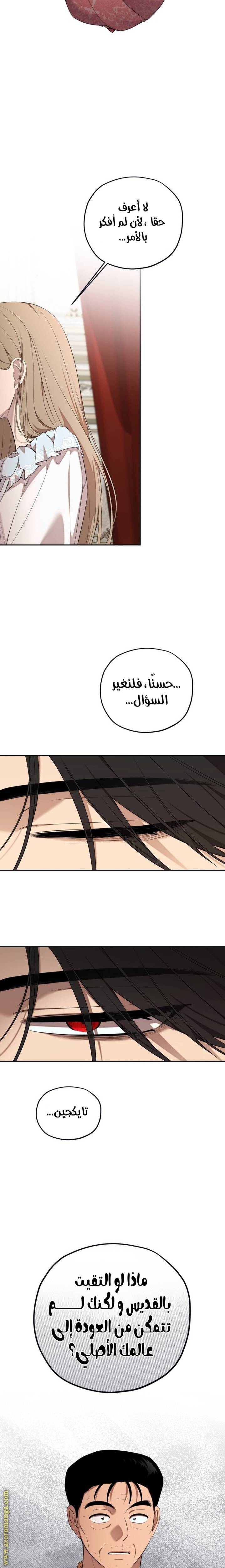 الصفحة 17