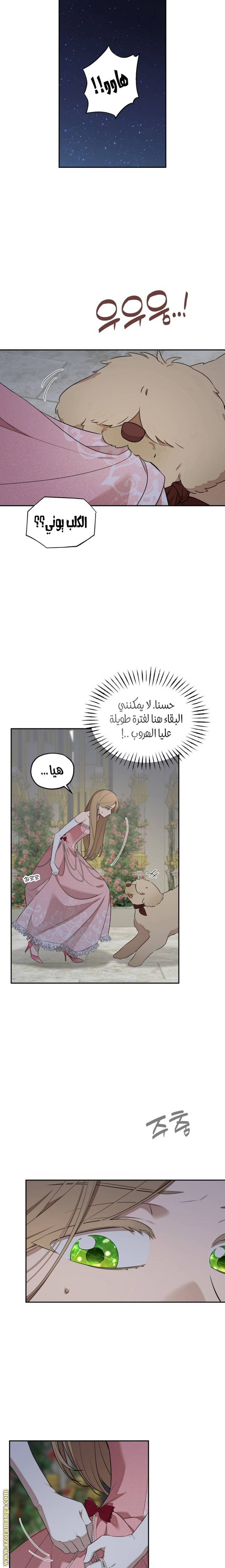الصفحة 6