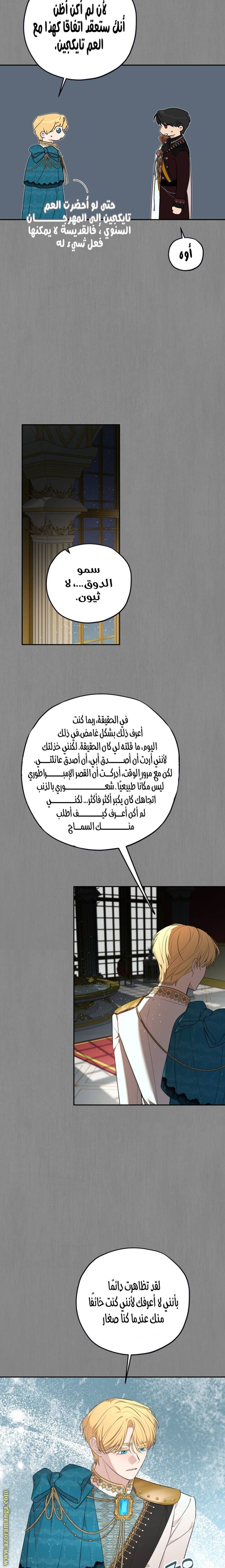 الصفحة 13
