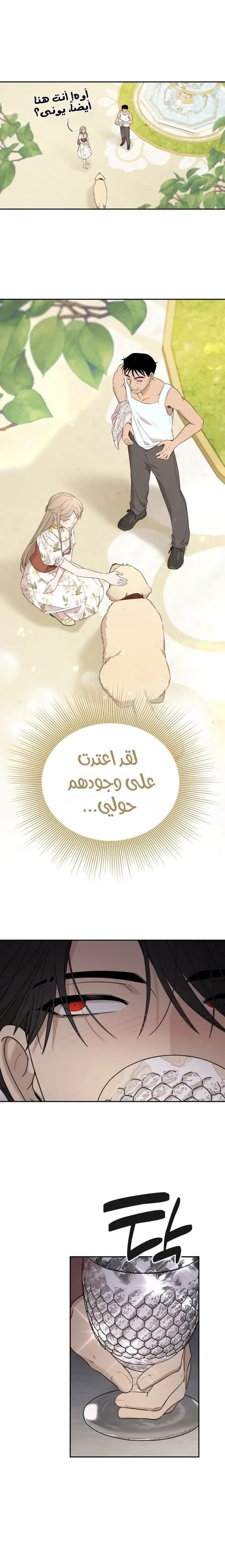 الصفحة 12