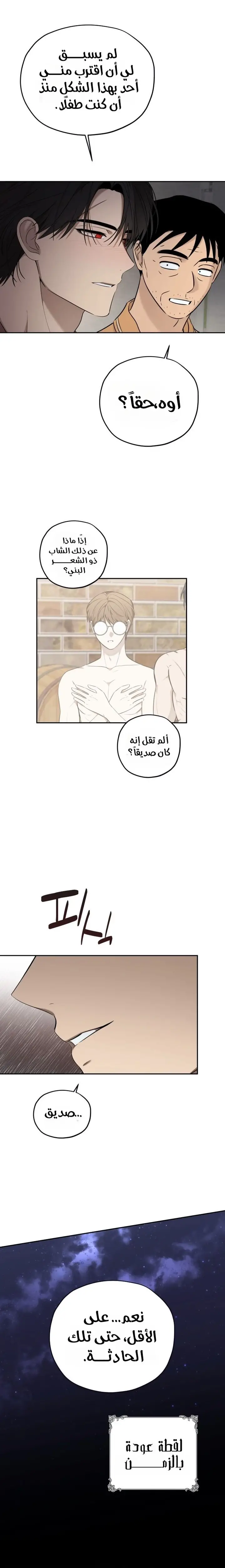 الصفحة 13