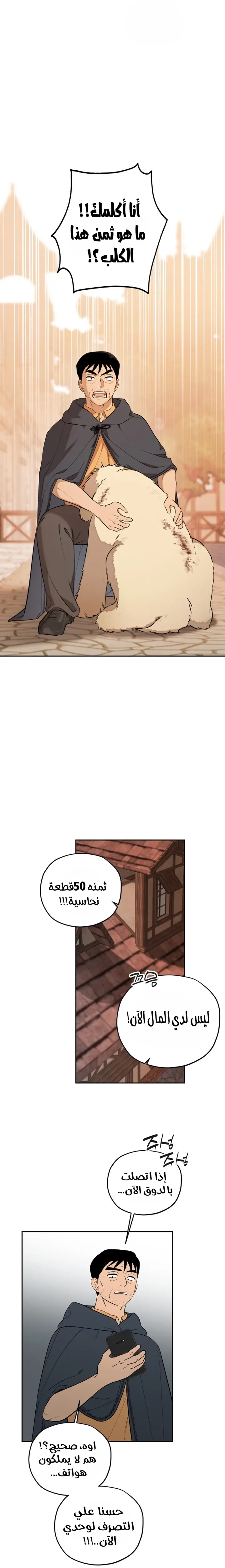 الصفحة 12