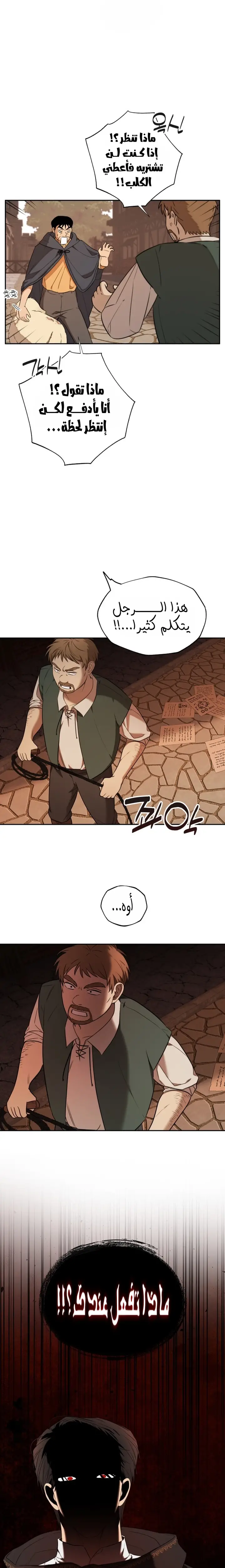 الصفحة 13