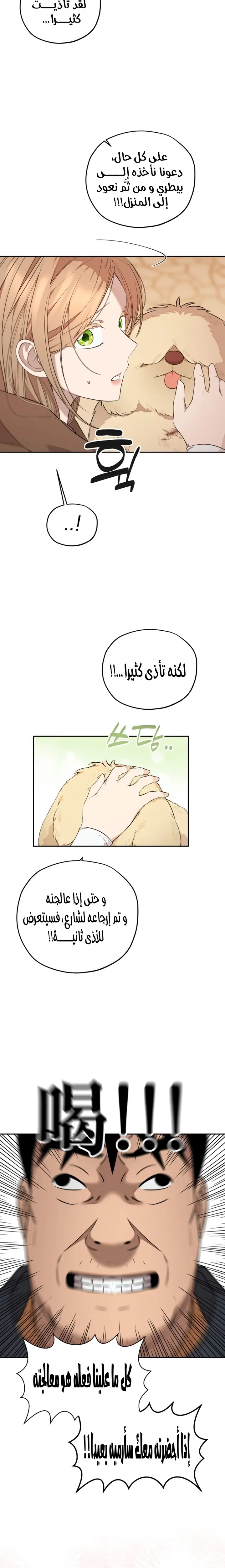 الصفحة 15