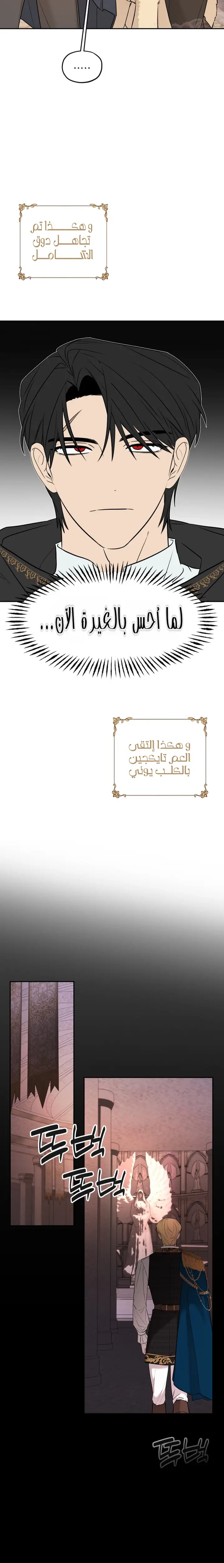 الصفحة 17