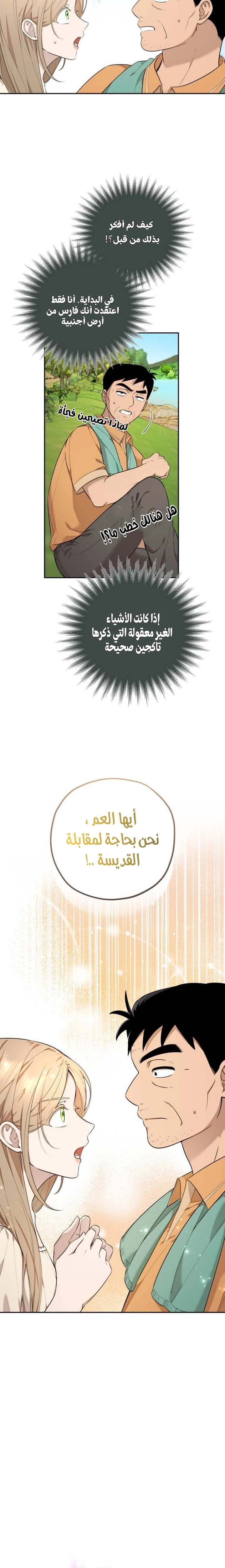 الصفحة 13