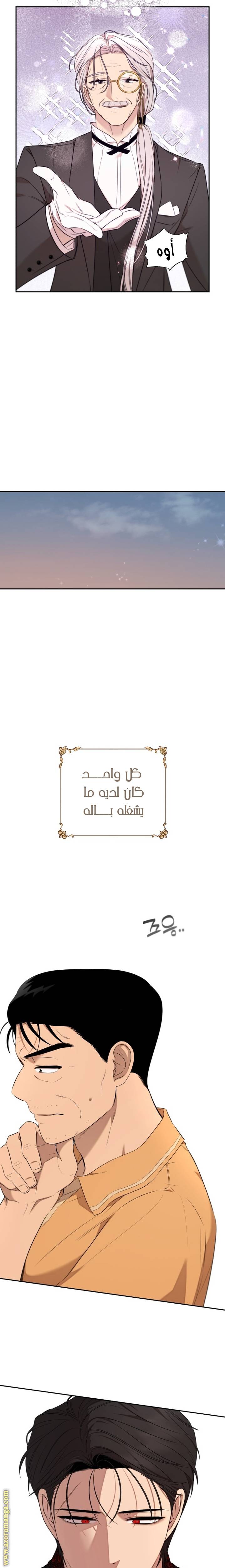 الصفحة 17