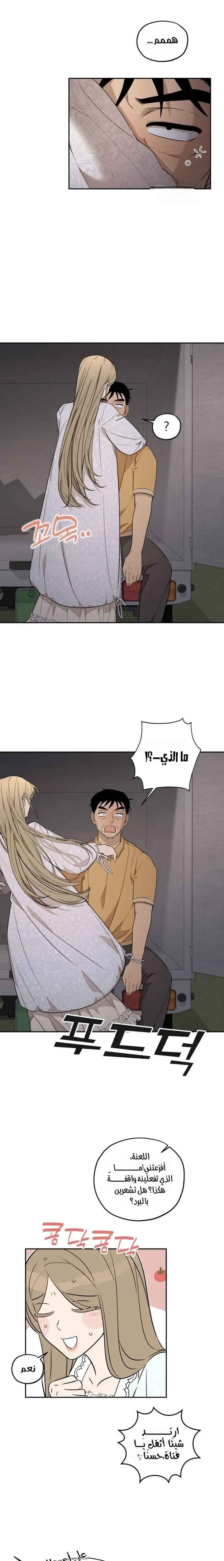 الصفحة 13