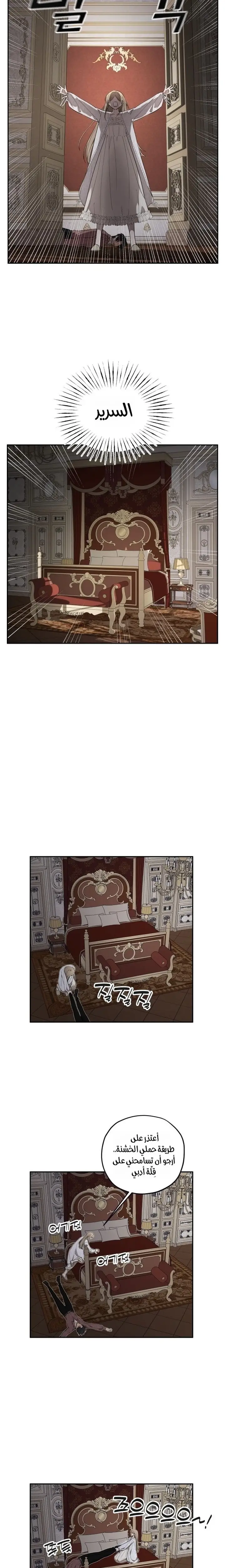 الصفحة 16