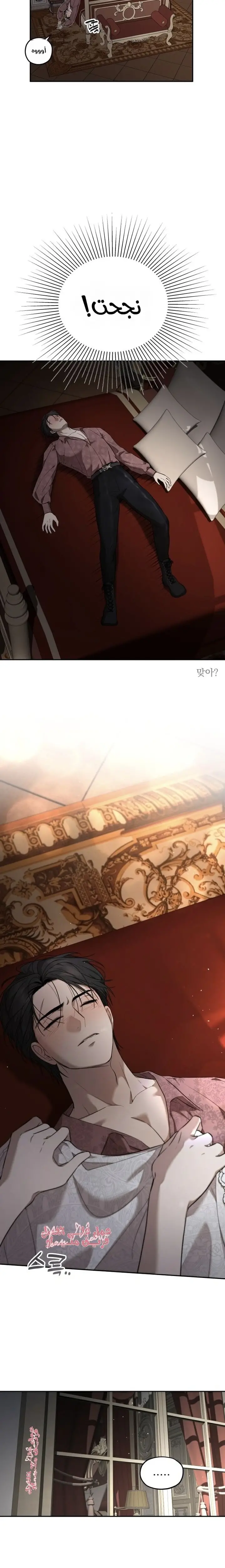 الصفحة 17