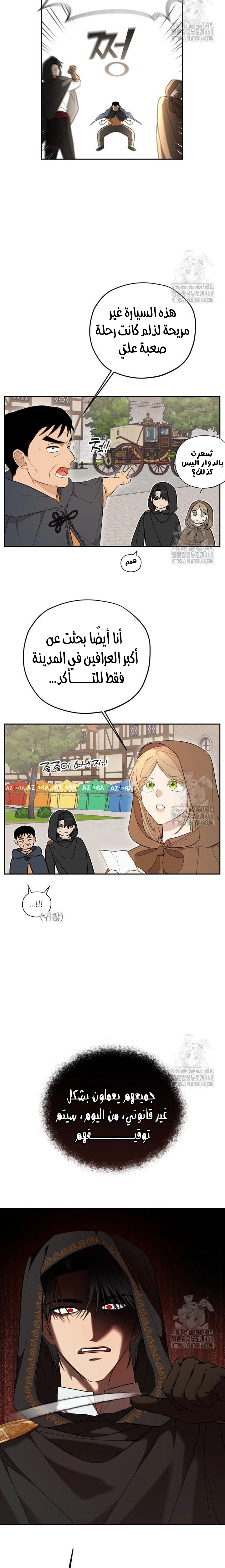 الصفحة 13