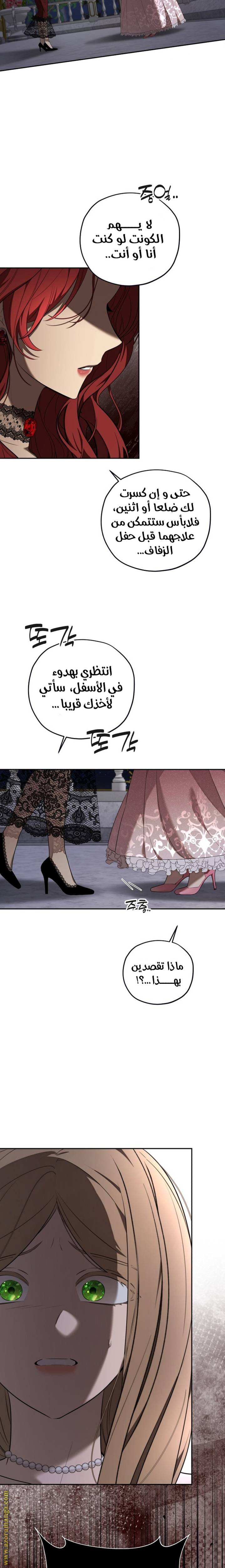 الصفحة 17