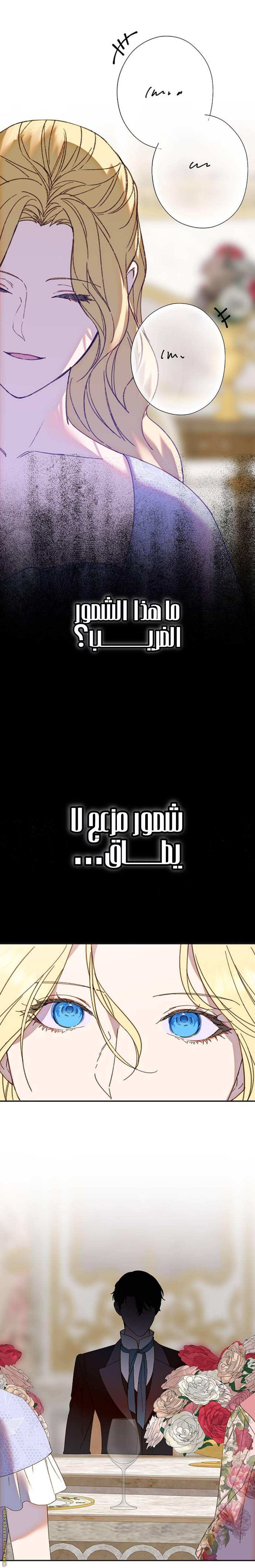 الصفحة 24