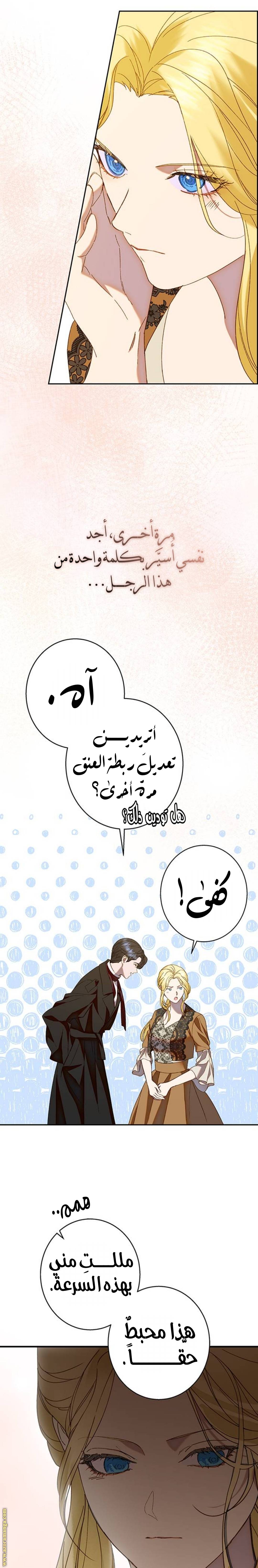 الصفحة 19