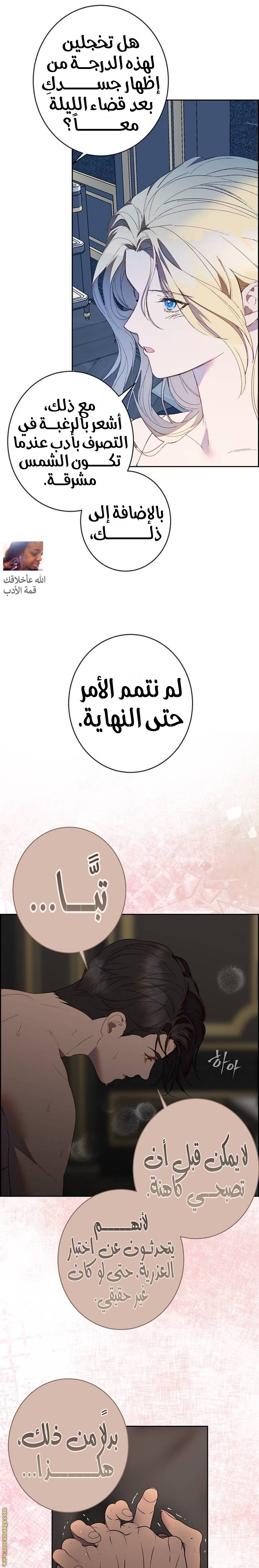 الصفحة 19