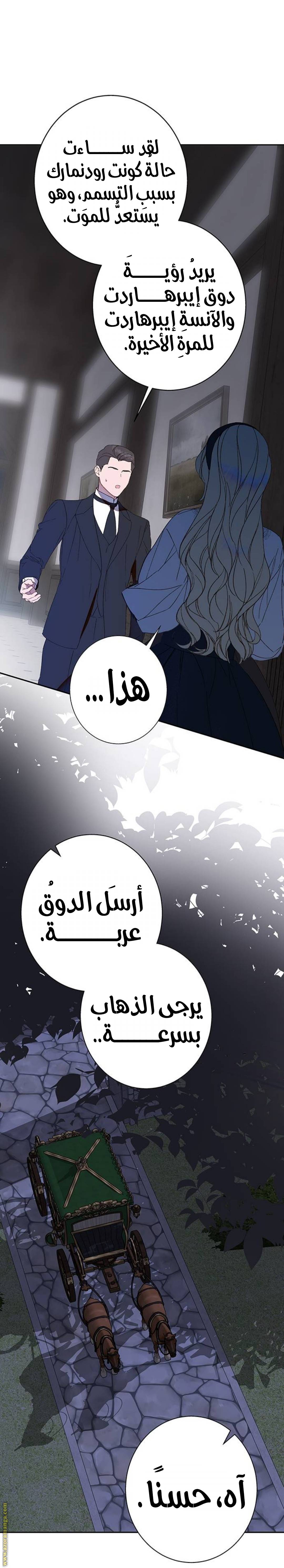 الصفحة 25