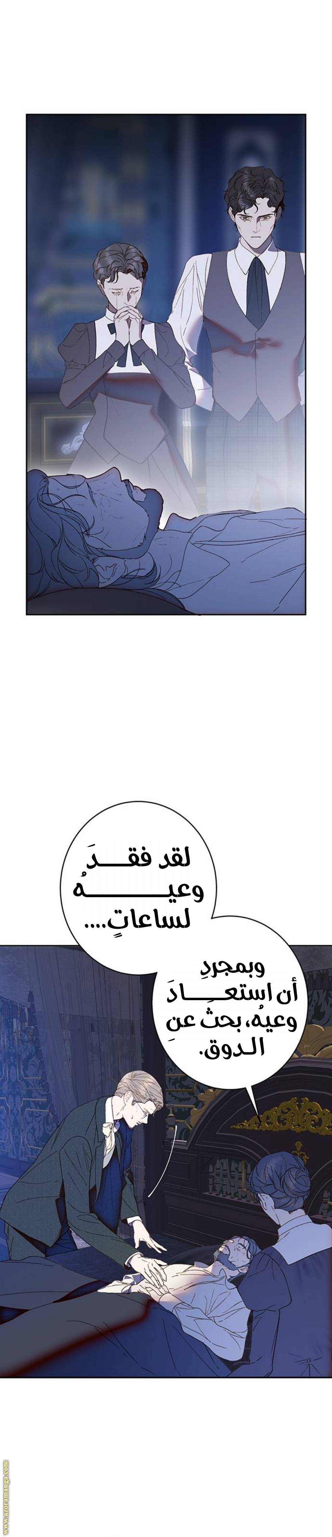 الصفحة 27