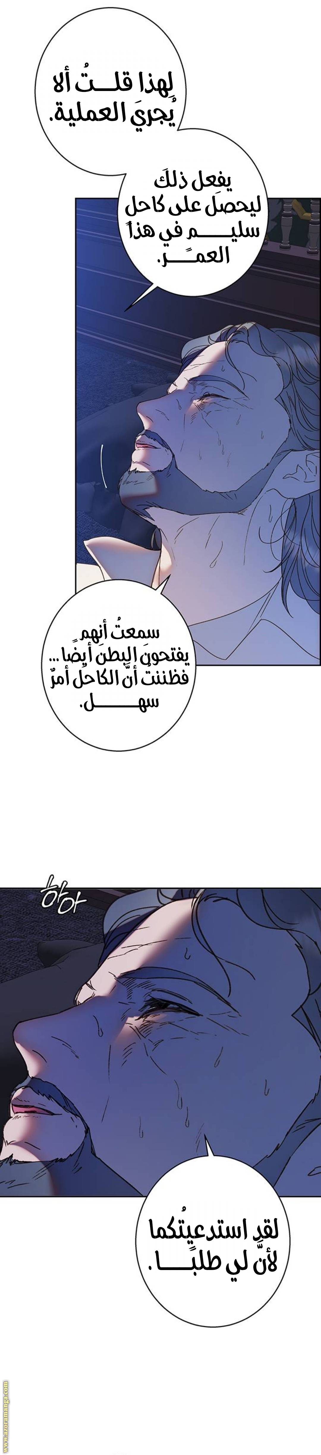 الصفحة 28