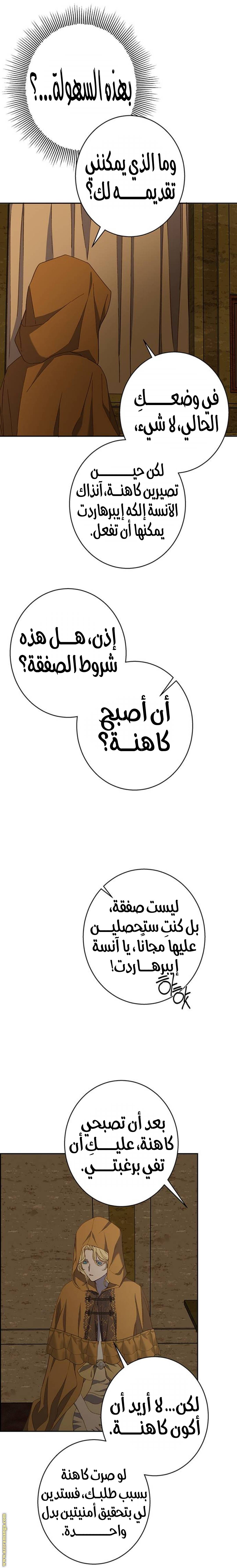 الصفحة 16