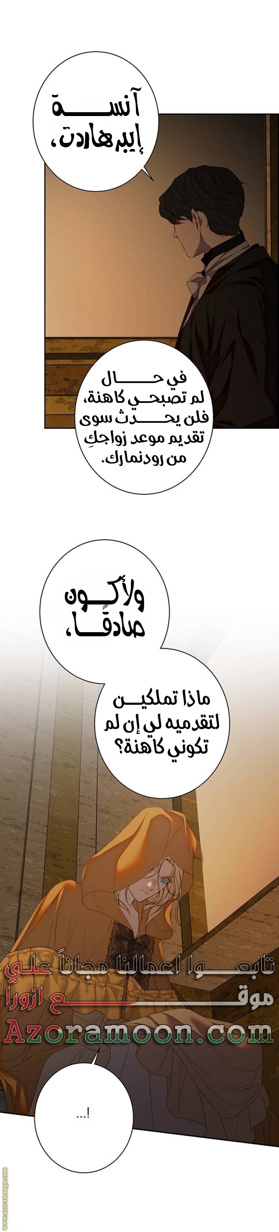 الصفحة 17
