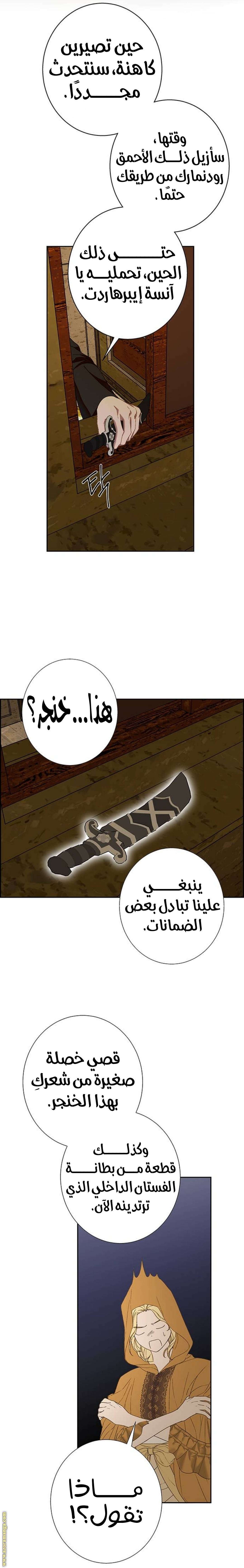 الصفحة 19