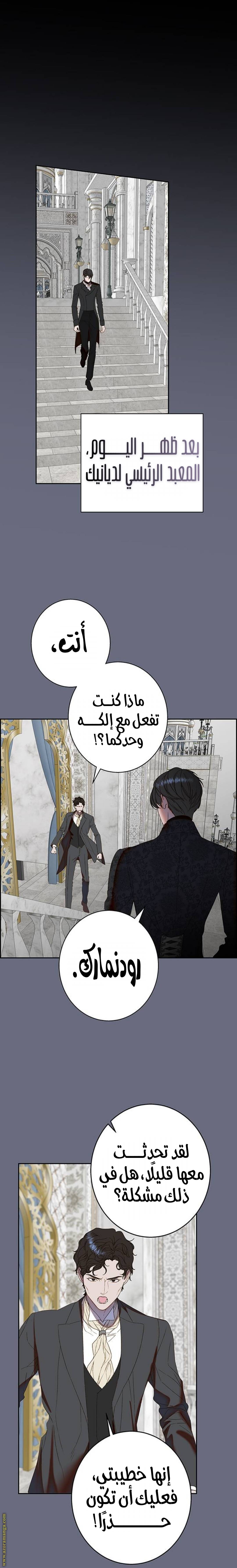 الصفحة 25