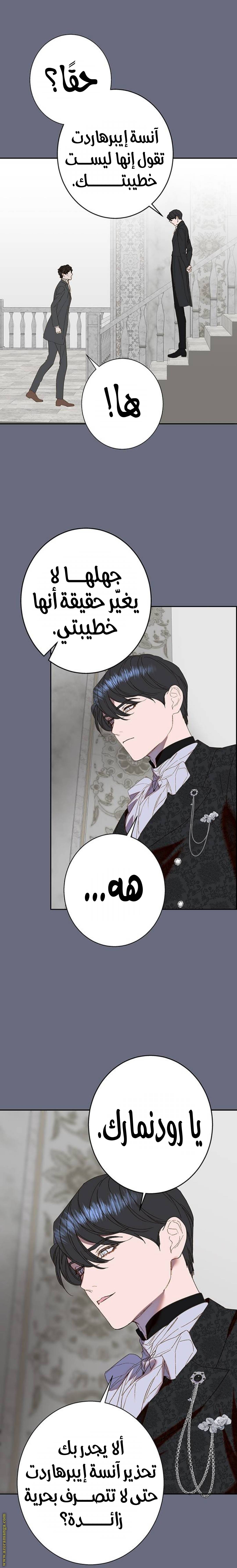الصفحة 26
