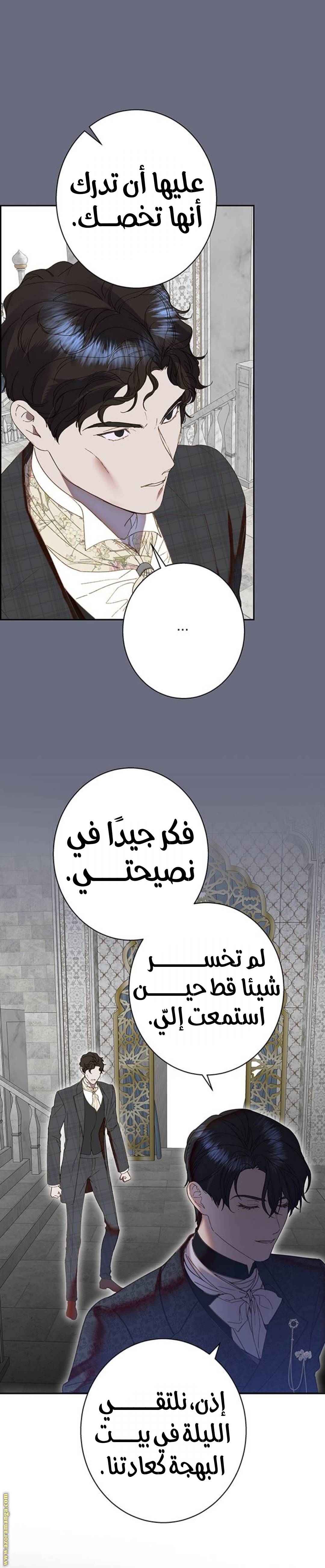 الصفحة 27