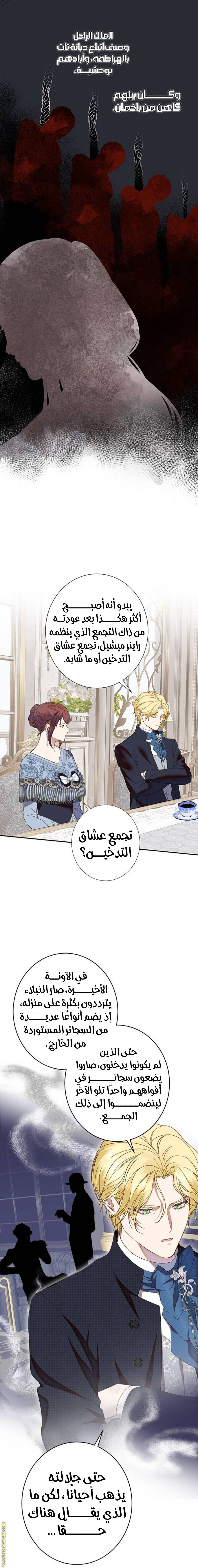 الصفحة 17
