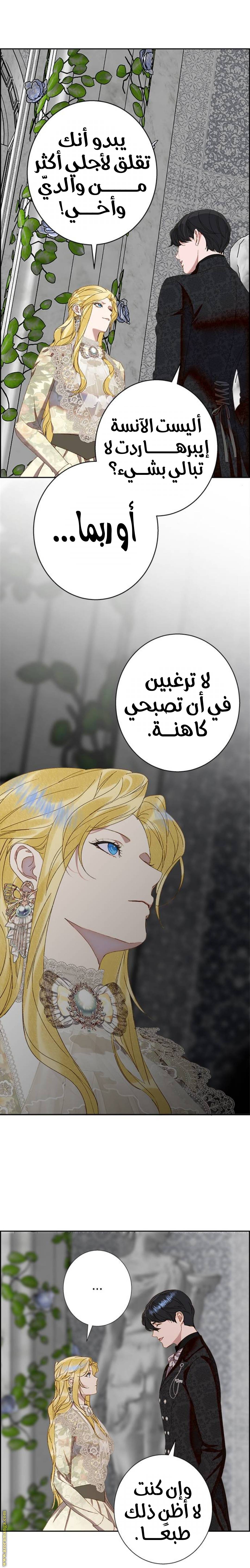 الصفحة 15