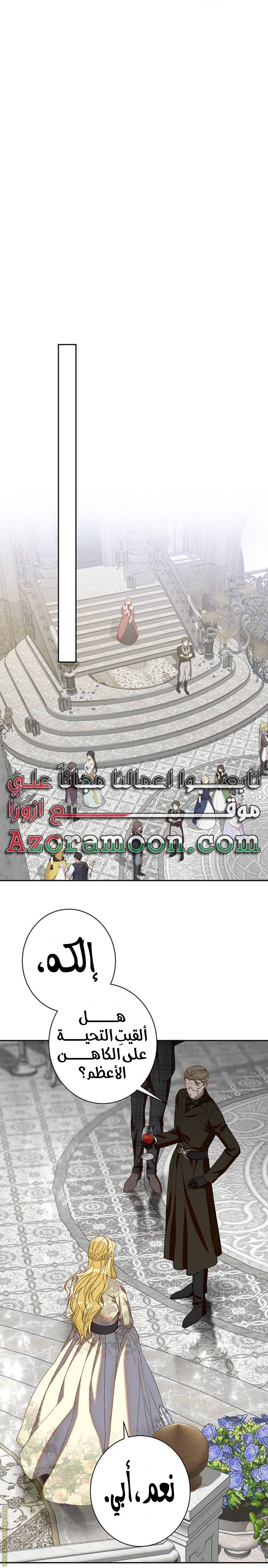 الصفحة 17