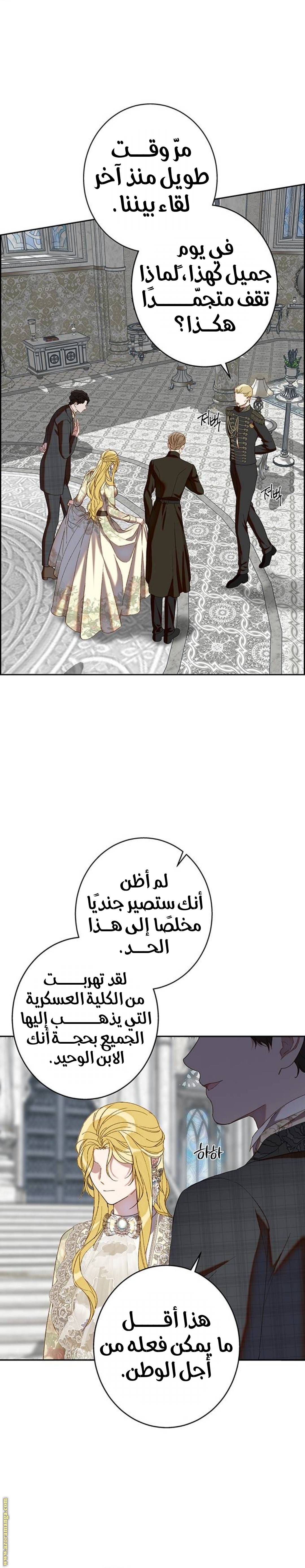 الصفحة 19