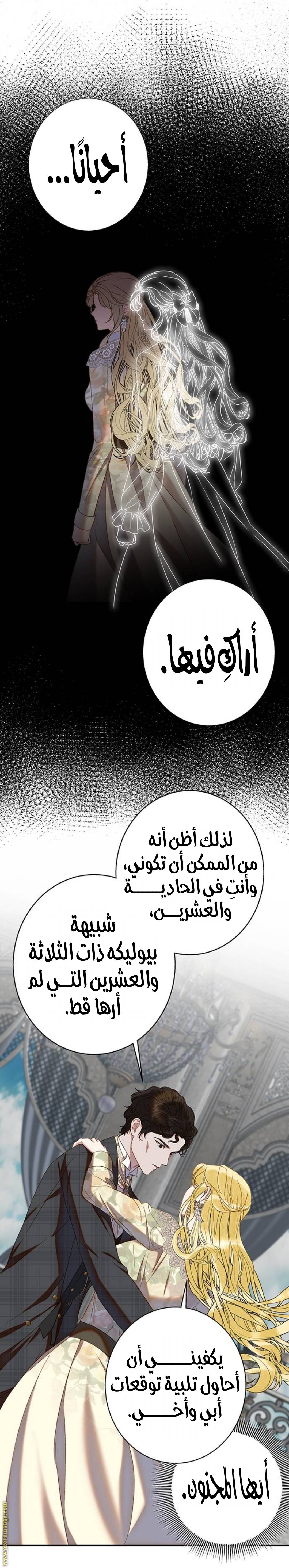 الصفحة 25
