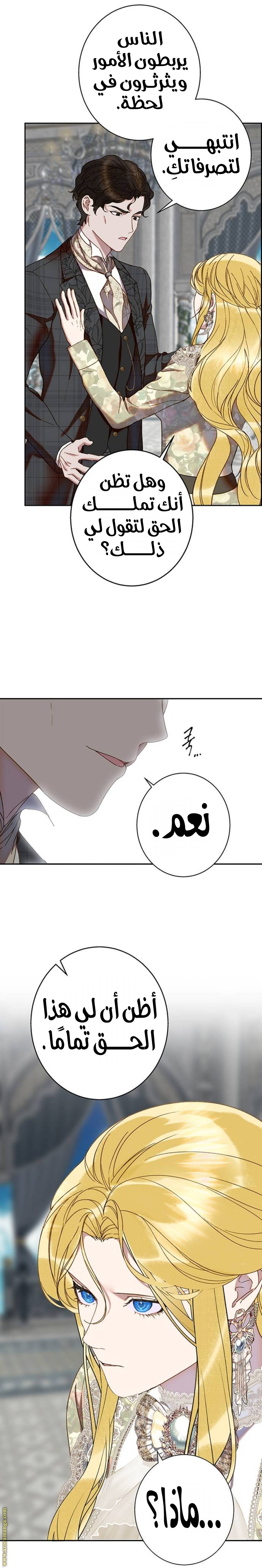 الصفحة 27