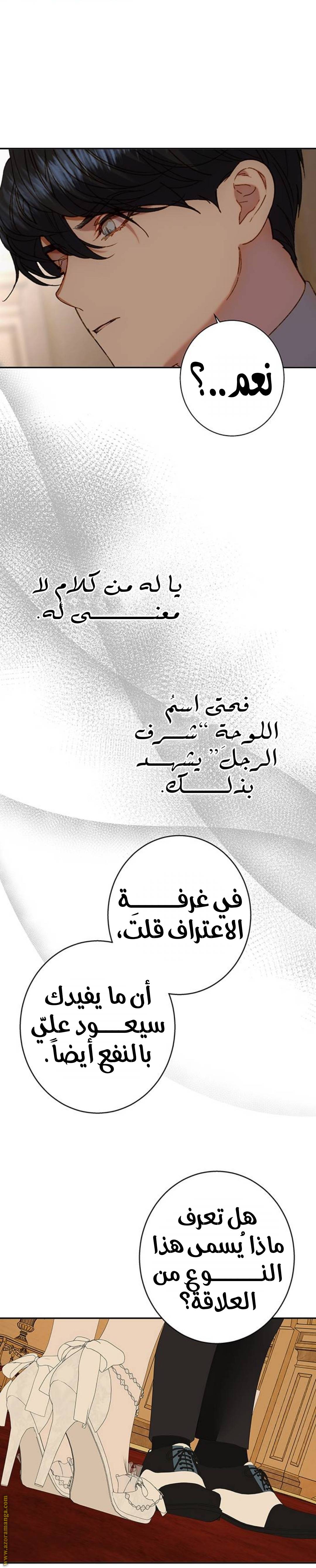 الصفحة 17