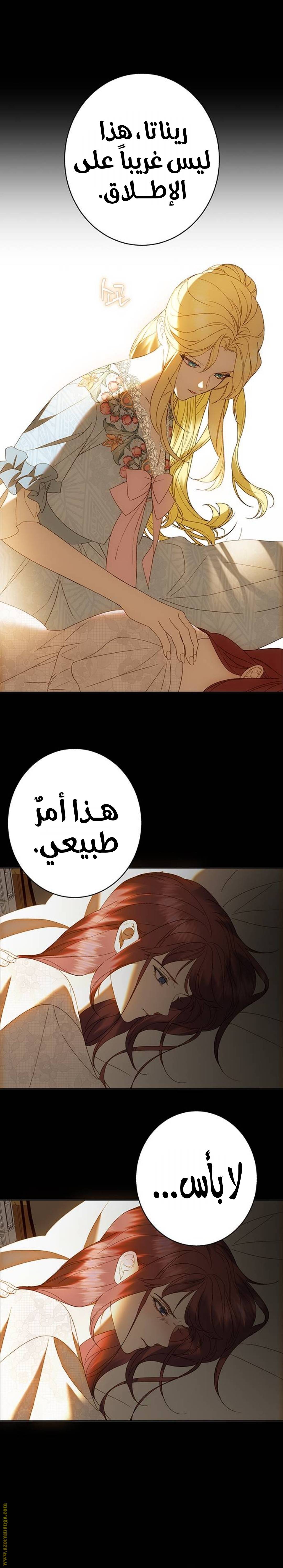 الصفحة 24