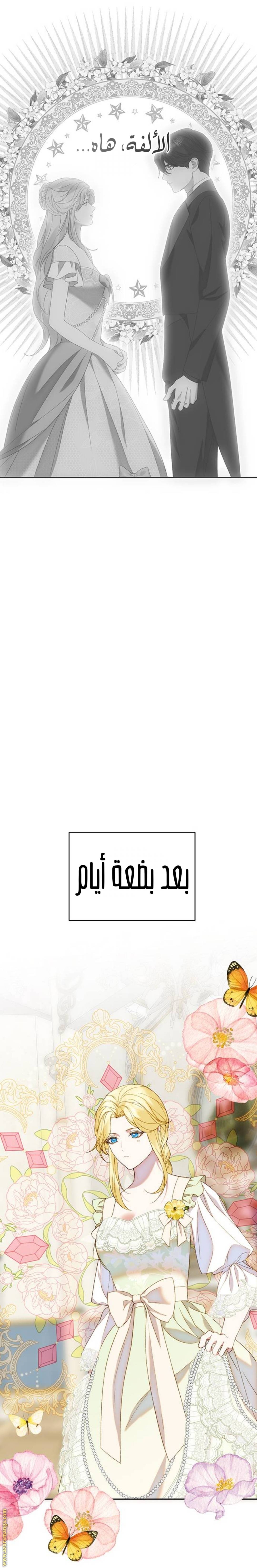 الصفحة 27