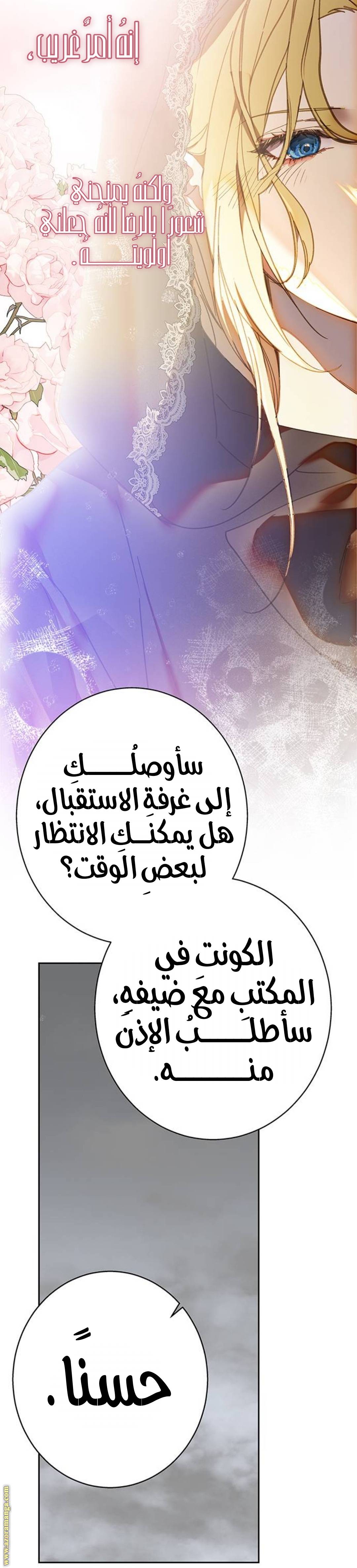 الصفحة 17