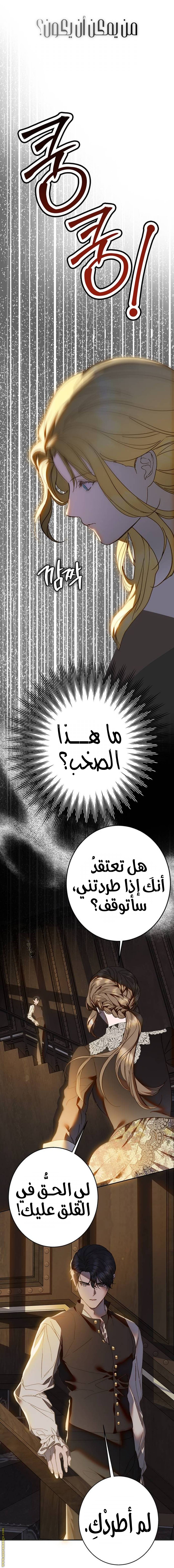 الصفحة 19