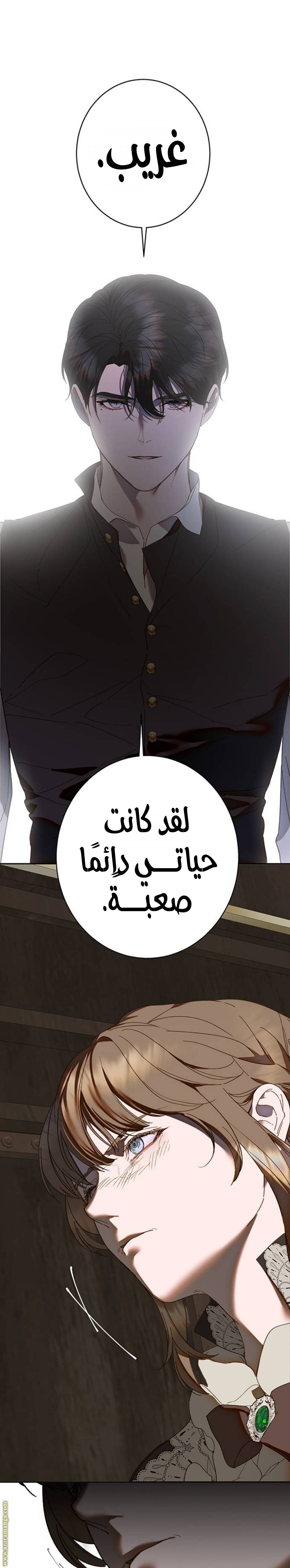 الصفحة 23