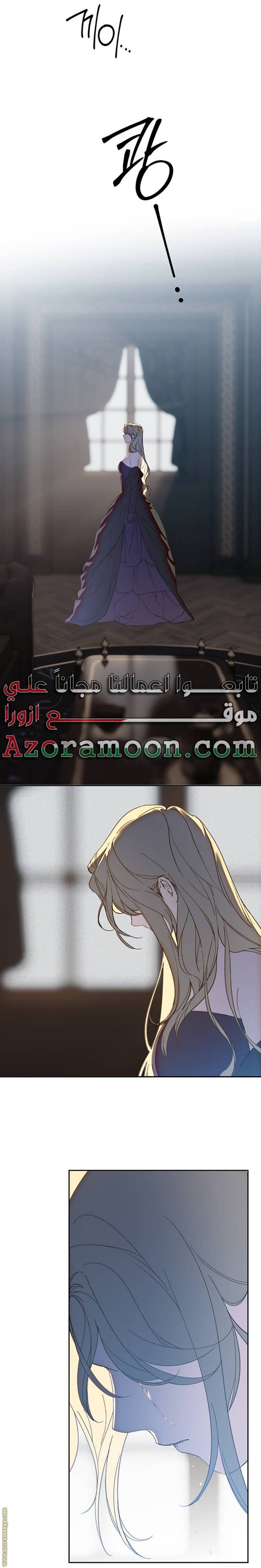 الصفحة 29
