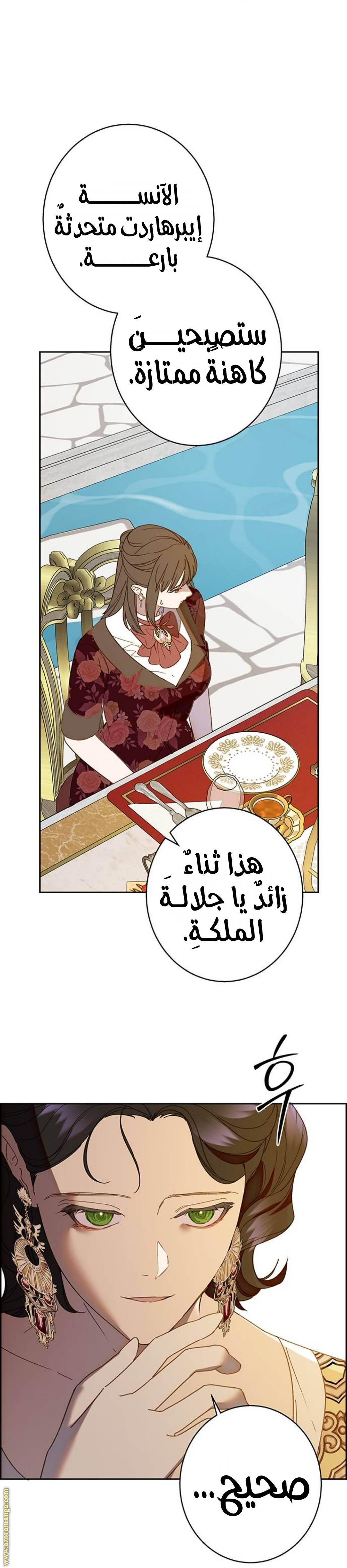 الصفحة 19