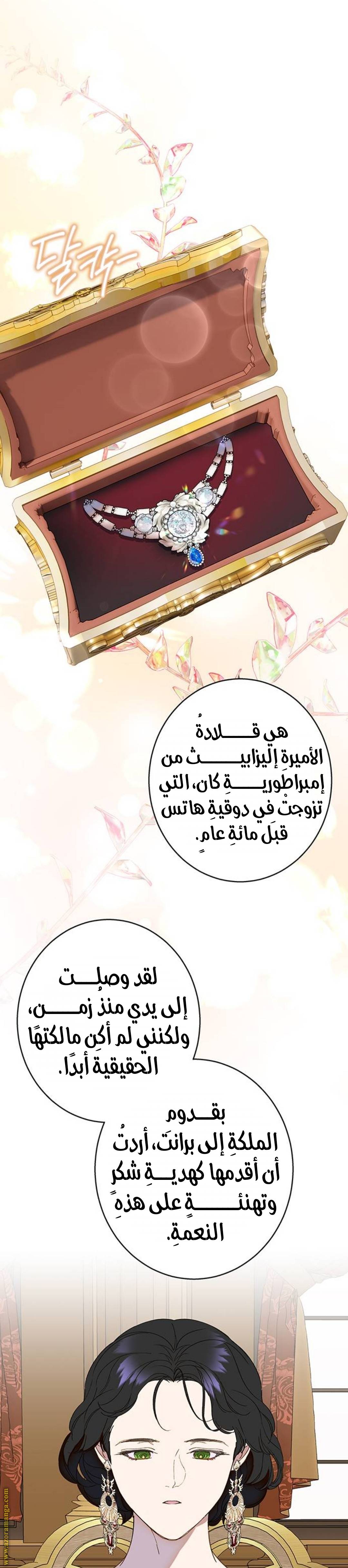 الصفحة 24
