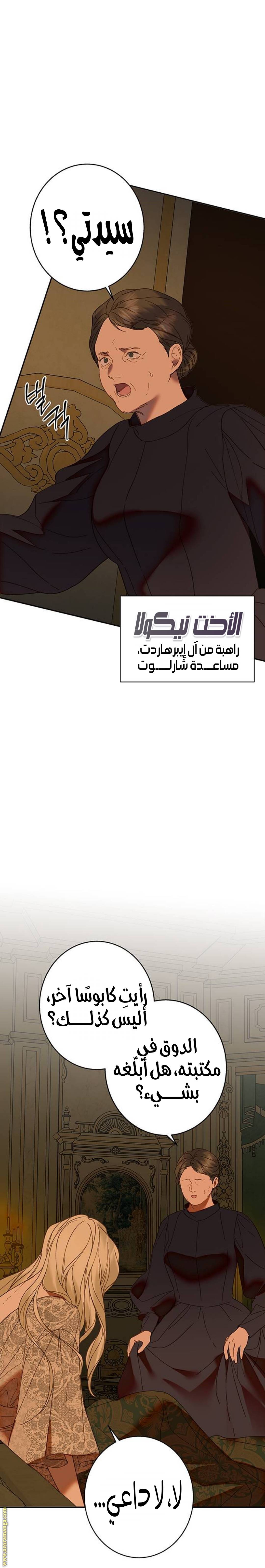 الصفحة 25