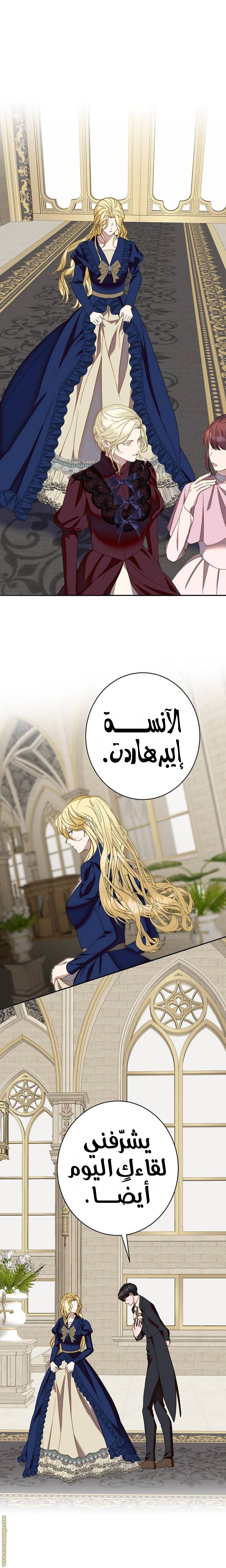 الصفحة 17