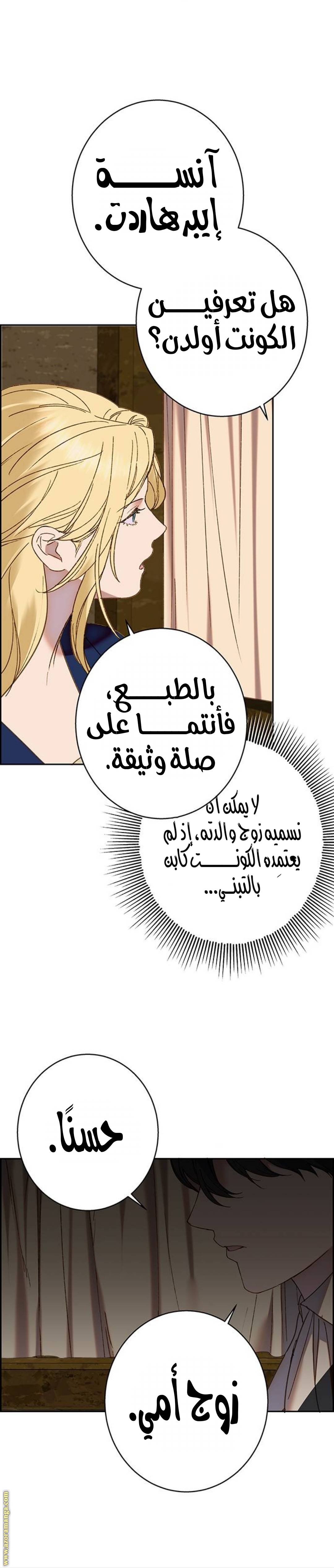 الصفحة 27