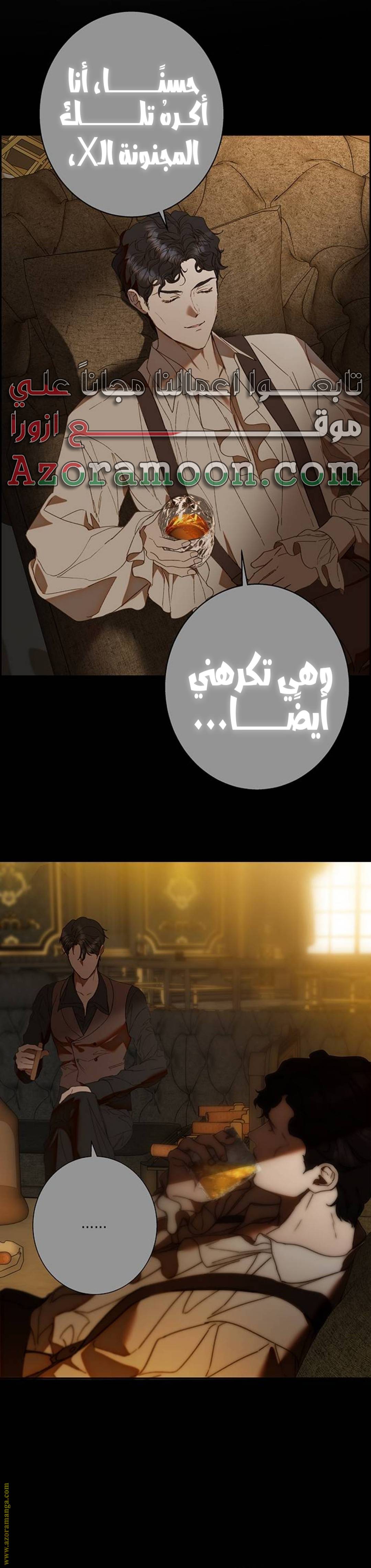 الصفحة 13