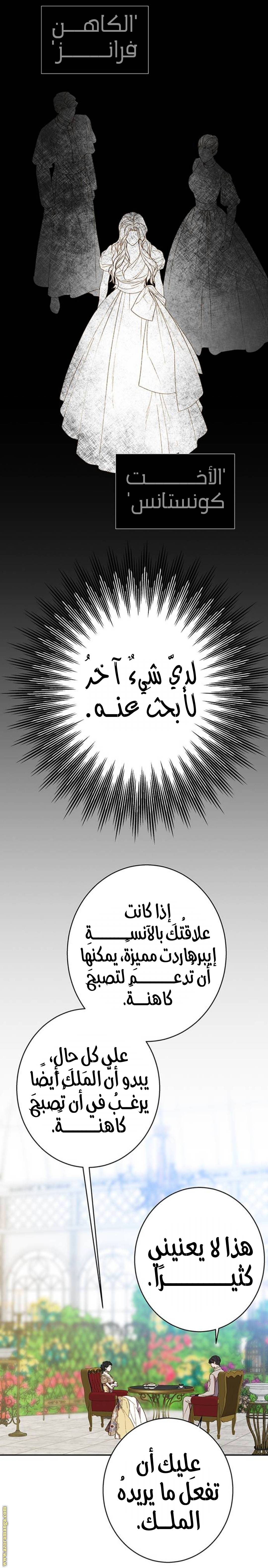 الصفحة 17