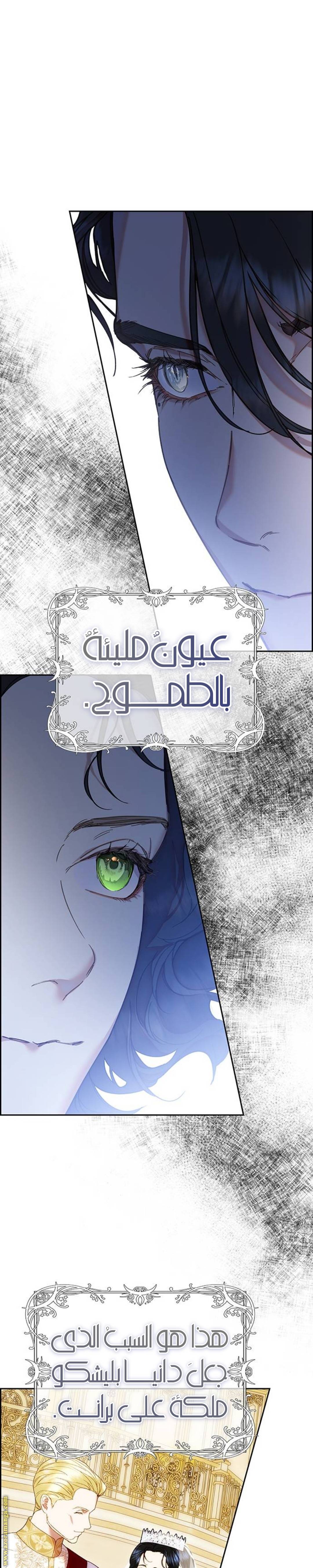 الصفحة 22