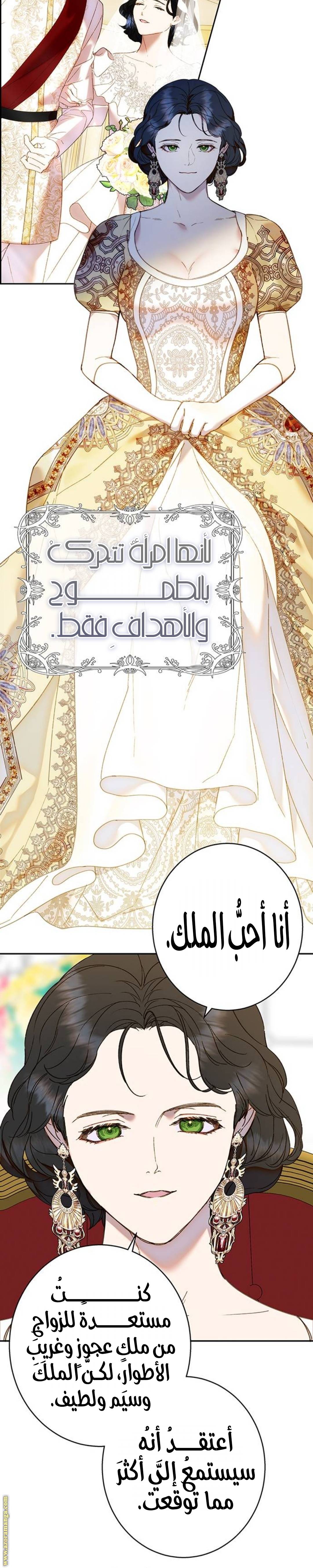 الصفحة 23